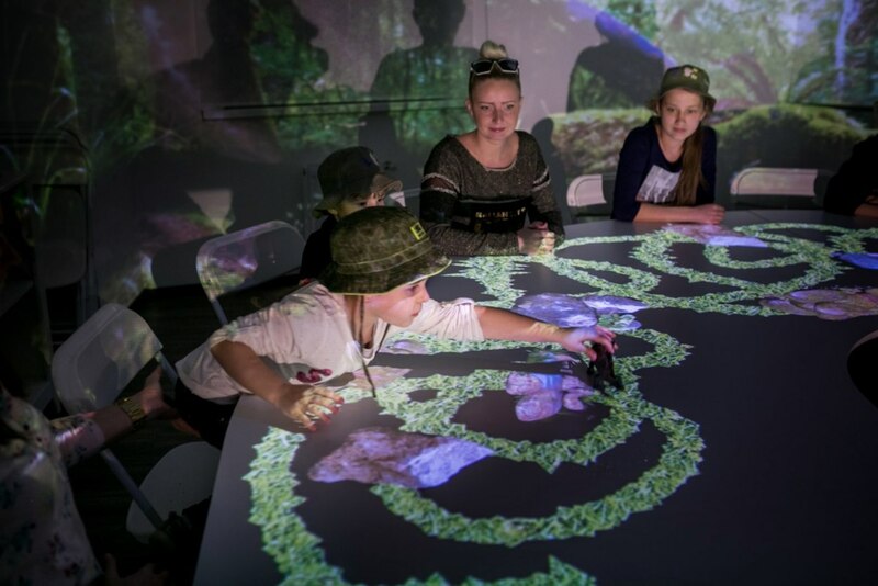 Шоу-занятие "Дневник Палеонтолога"