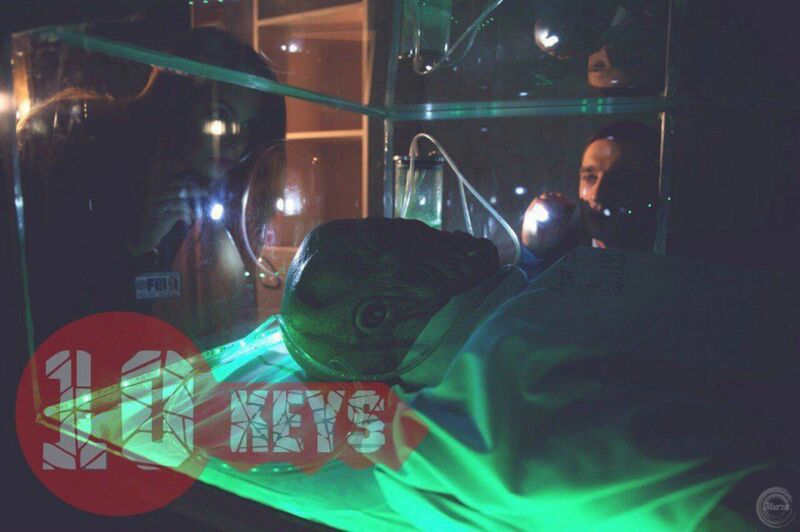 Квест Тайные сведения